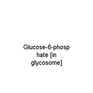 Glucose-6-phosphate [in glycosome]